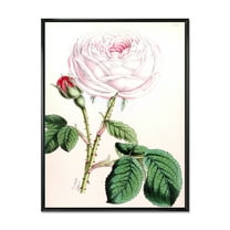 Ancient Pink Flower 12 in x 20 in Framed Painting Canvas Art Print, by Designart