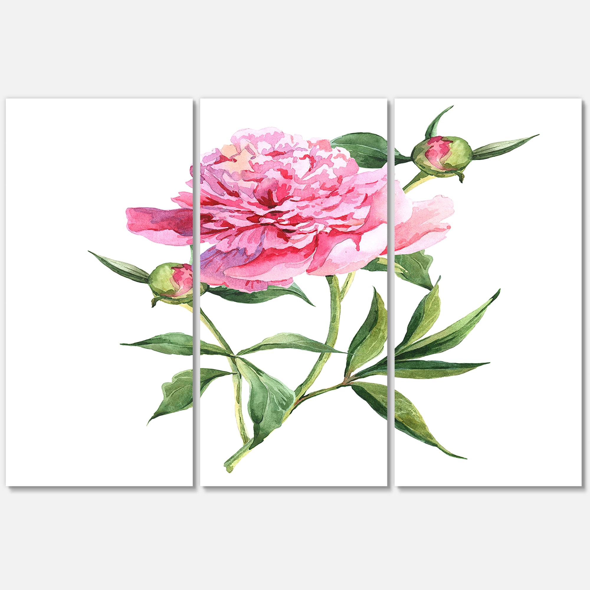 Ancient Pink Peonies 28 in x 36 in Painting Canvas Art Print, by Designart