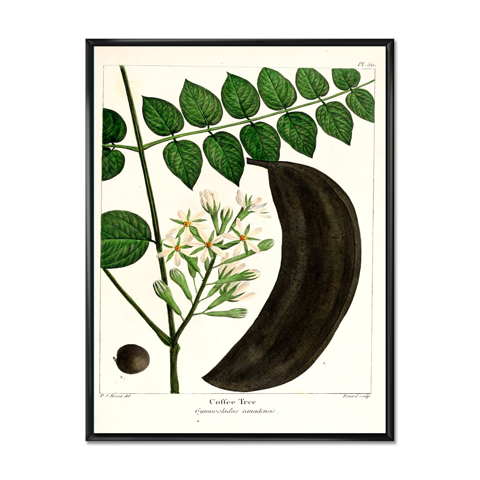 Ancient Plant Life IX 12 in x 20 in Framed Painting Canvas Art Print, by Designart