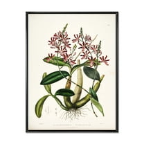 Ancient Plant Life VII 12 in x 20 in Framed Painting Canvas Art Print, by Designart