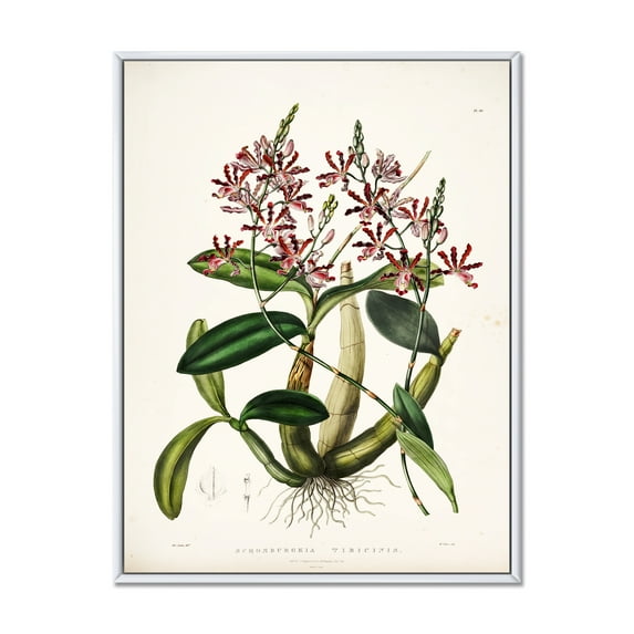 Ancient Plant Life VII 12 in x 20 in Framed Painting Canvas Art Print, by Designart