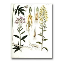 Ancient Plant Life VIII 12 in x 8 in Painting Canvas Art Print, by Designart