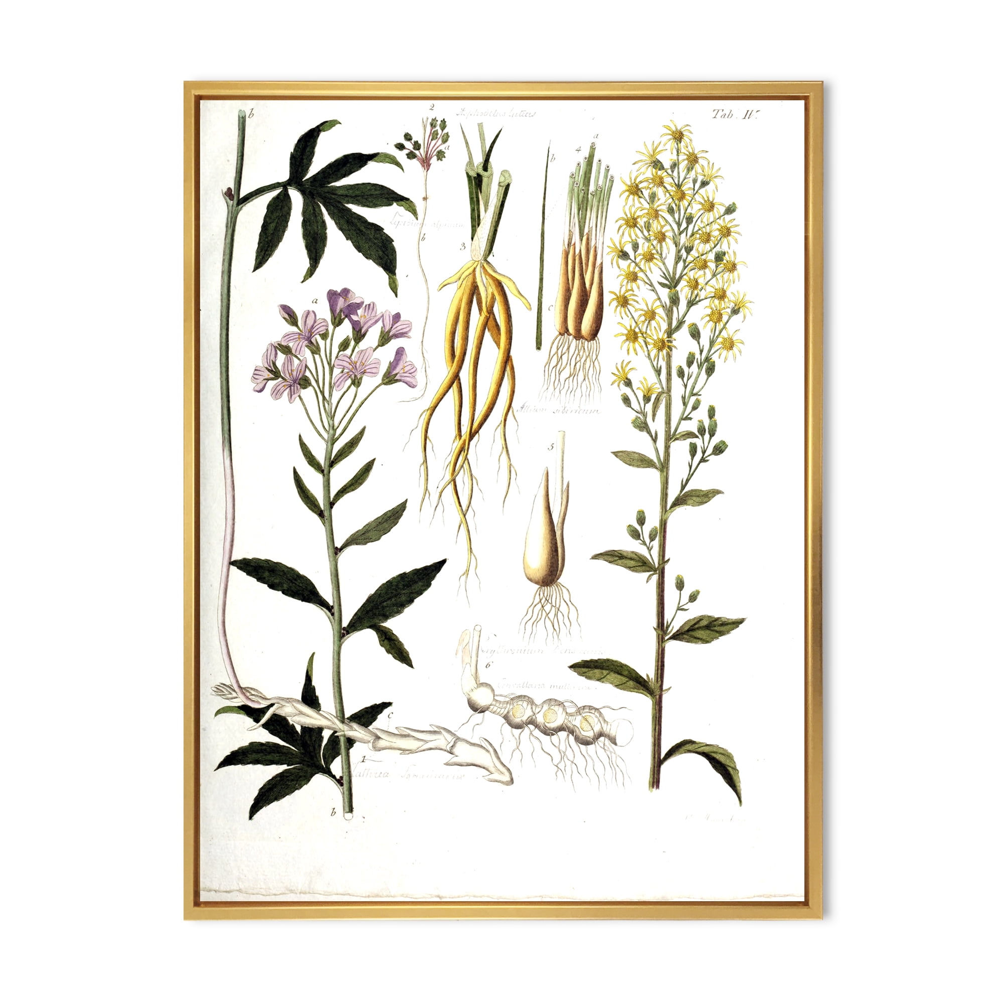 Ancient Plant Life VIII 24 in x 32 in Framed Painting Canvas Art Print, by Designart