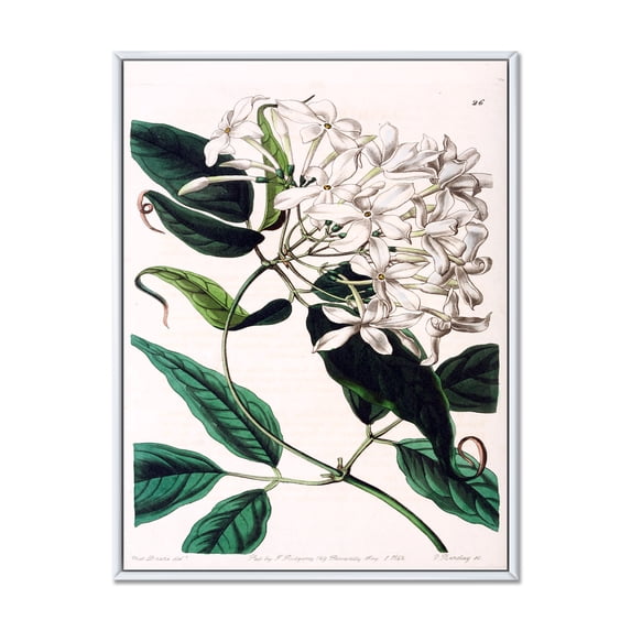 Ancient Plant Life XXIV 30 in x 40 in Framed Painting Canvas Art Print, by Designart