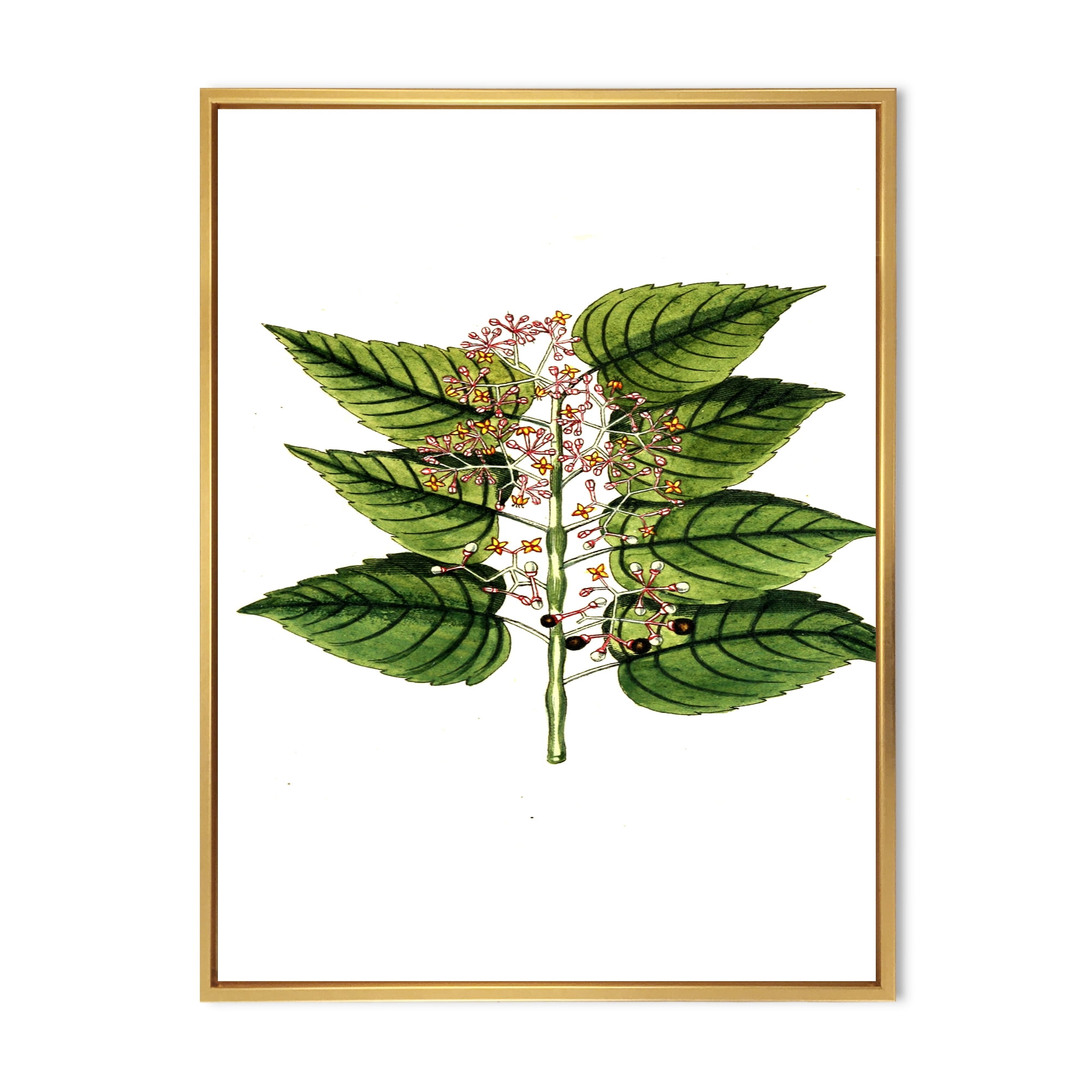 Ancient Plant Life XXVI 24 in x 32 in Framed Painting Canvas Art Print, by Designart