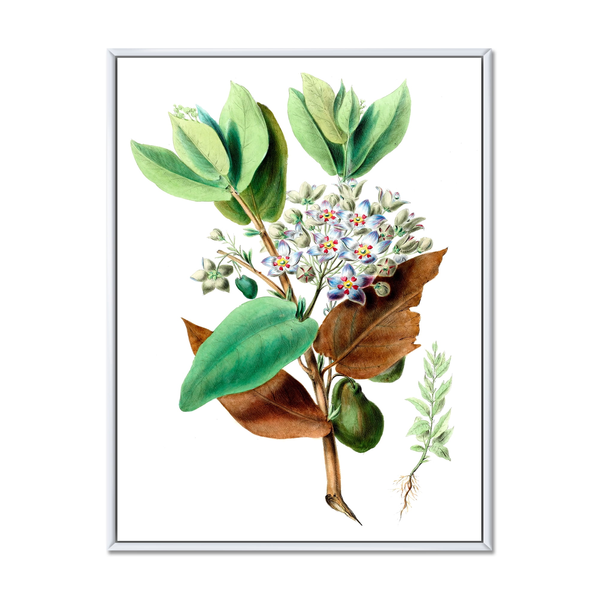 Ancient Plant Life XXVIII 12 in x 20 in Framed Painting Canvas Art Print, by Designart