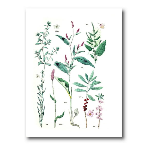 Ancient Plants 12 in x 8 in Painting Canvas Art Print, by Designart