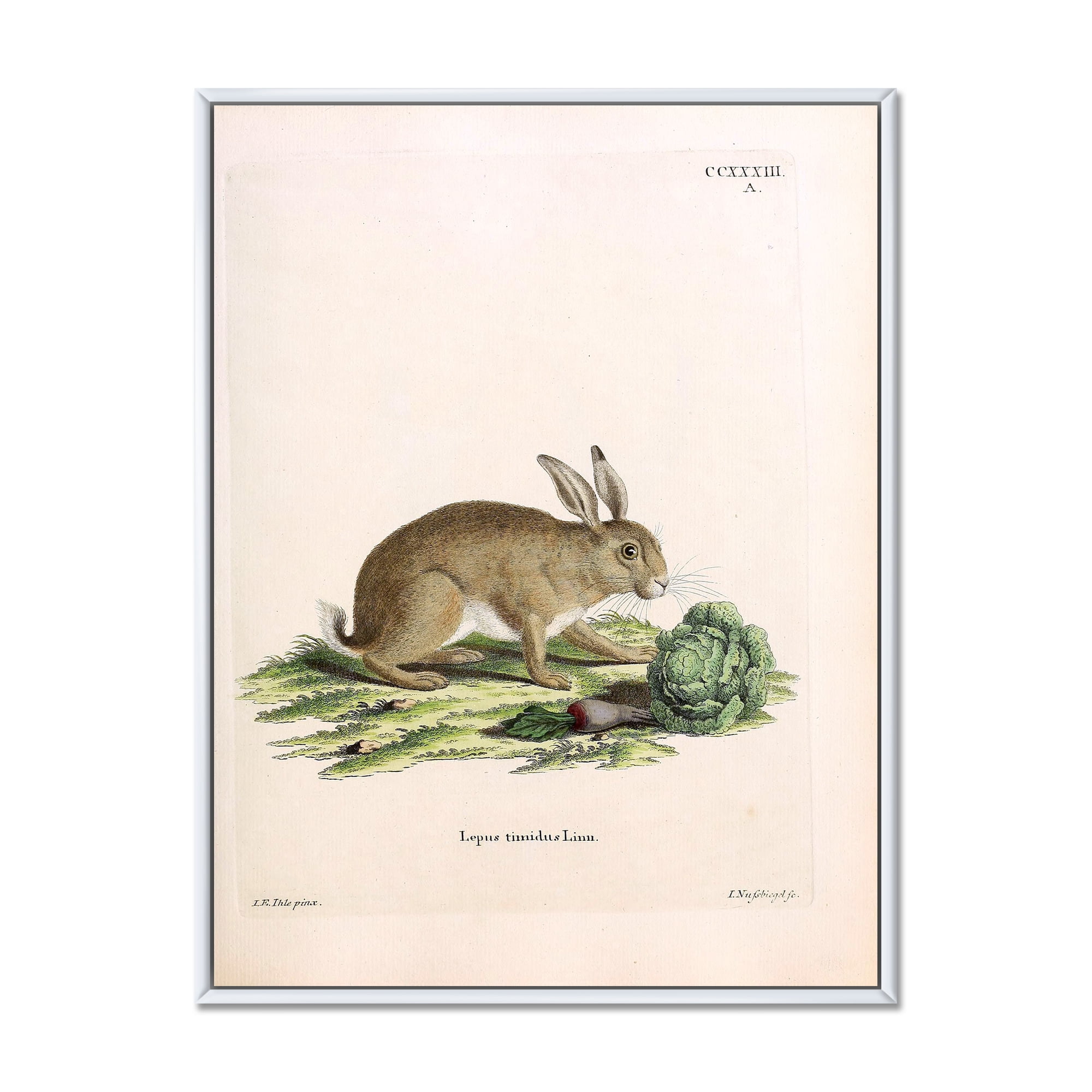 Ancient Rabbits In Earth Tones 12 in x 20 in Framed Painting Canvas Art Print, by Designart