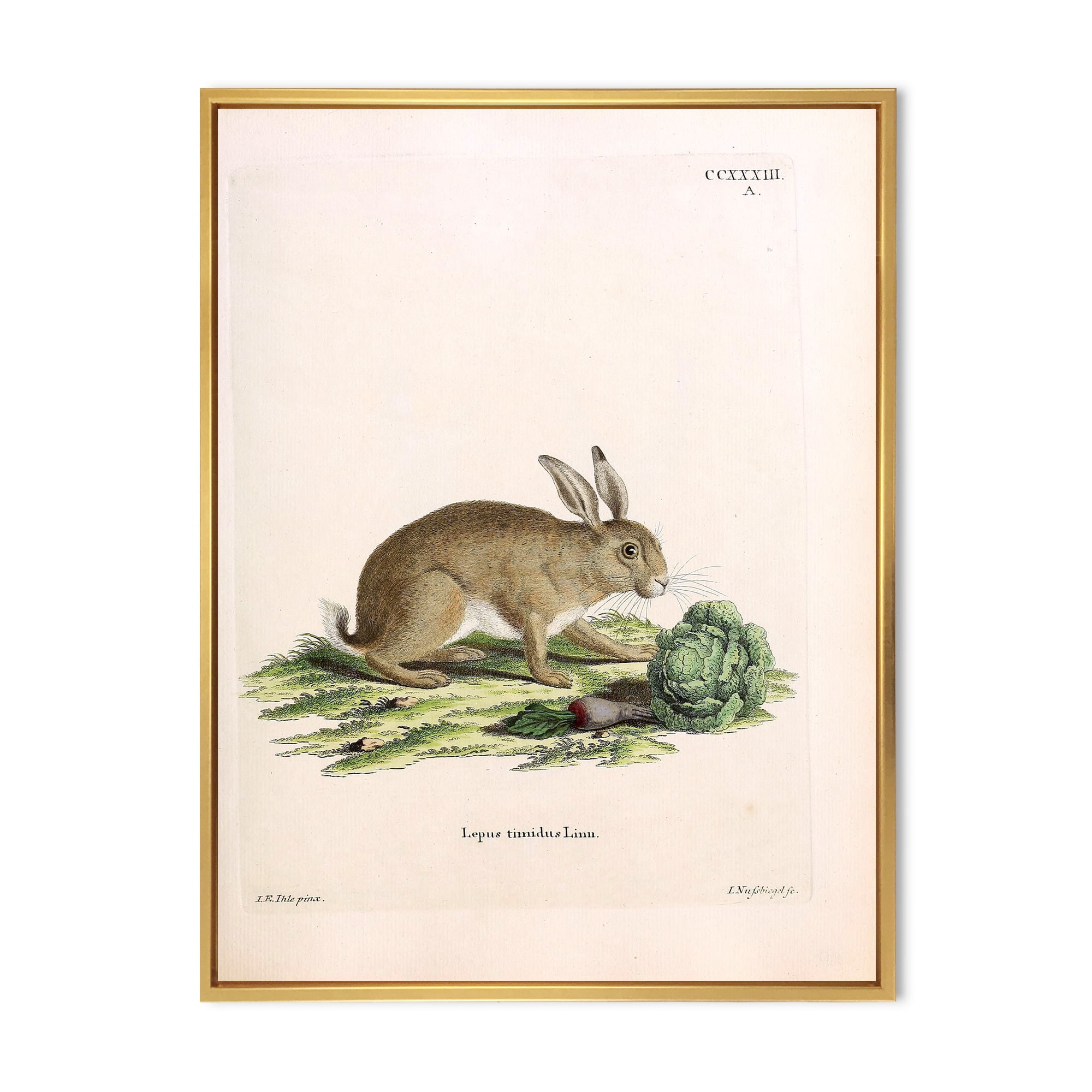 Ancient Rabbits In Earth Tones 30 in x 40 in Framed Painting Canvas Art Print, by Designart