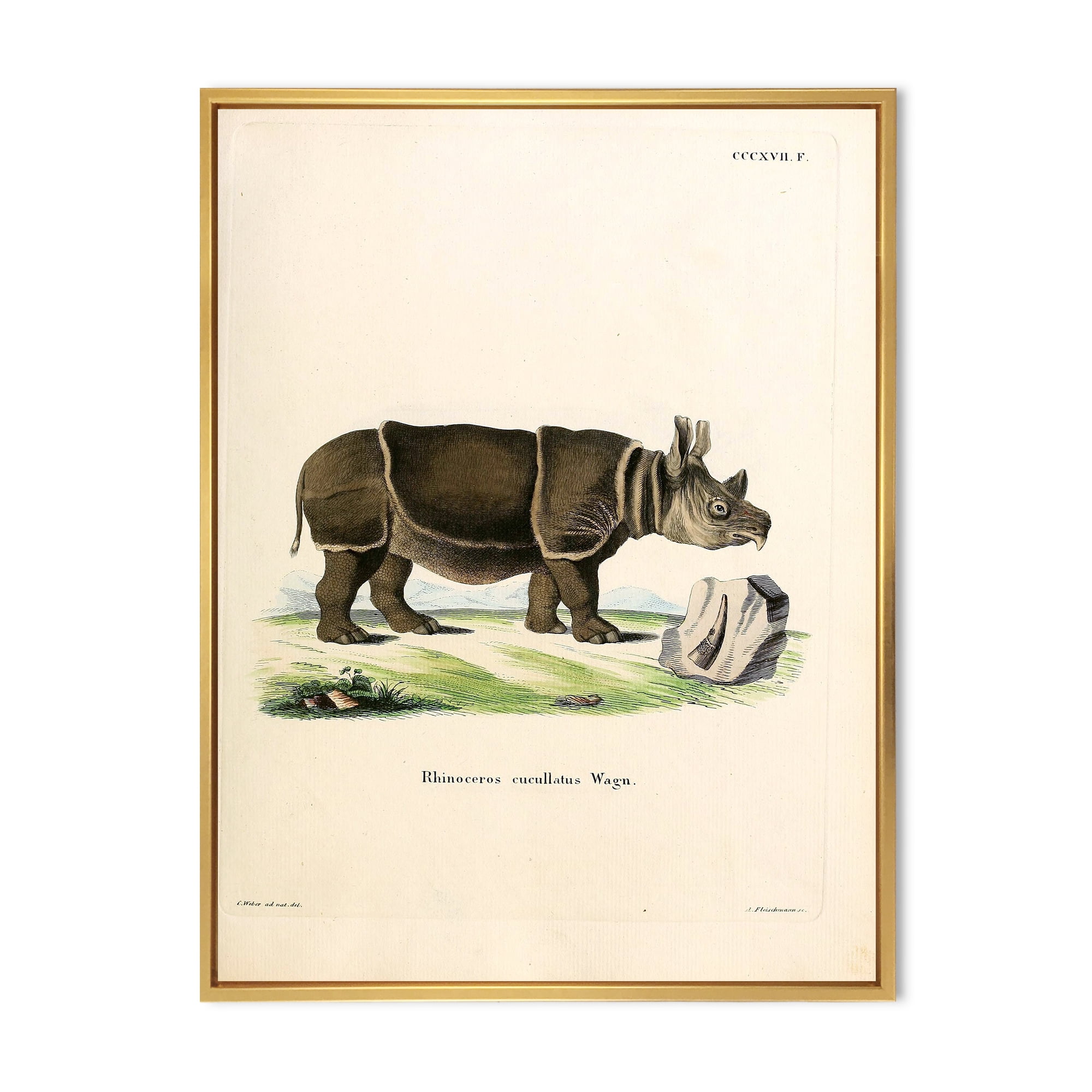 Ancient Rhinoceros 12 in x 20 in Framed Painting Canvas Art Print, by Designart