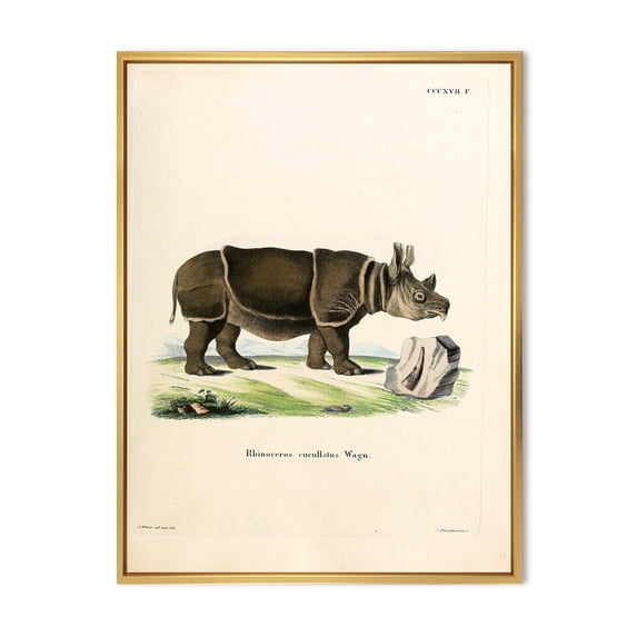 Ancient Rhinoceros 12 in x 20 in Framed Painting Canvas Art Print, by Designart