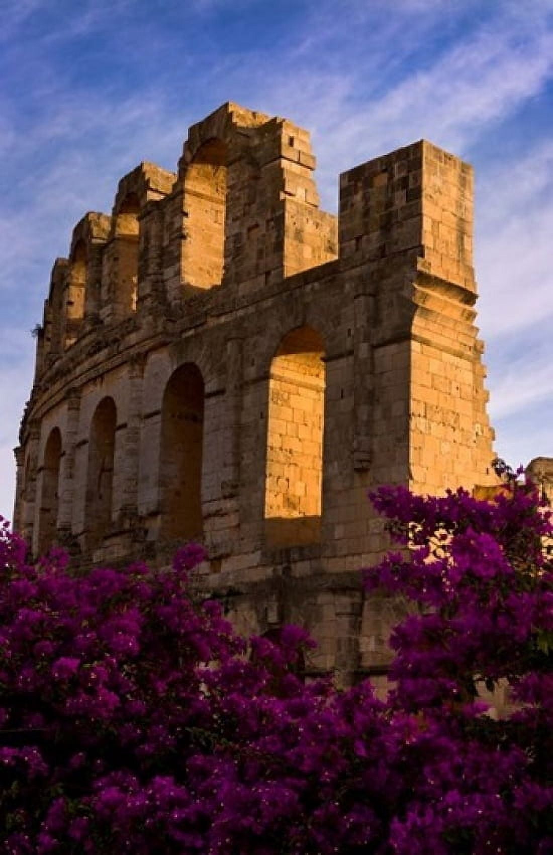 Ancient Roman Amphitheater with flowers El Jem Tunisia Canvas Art - Bill Bachmann DanitaDelimont (11 x 17)