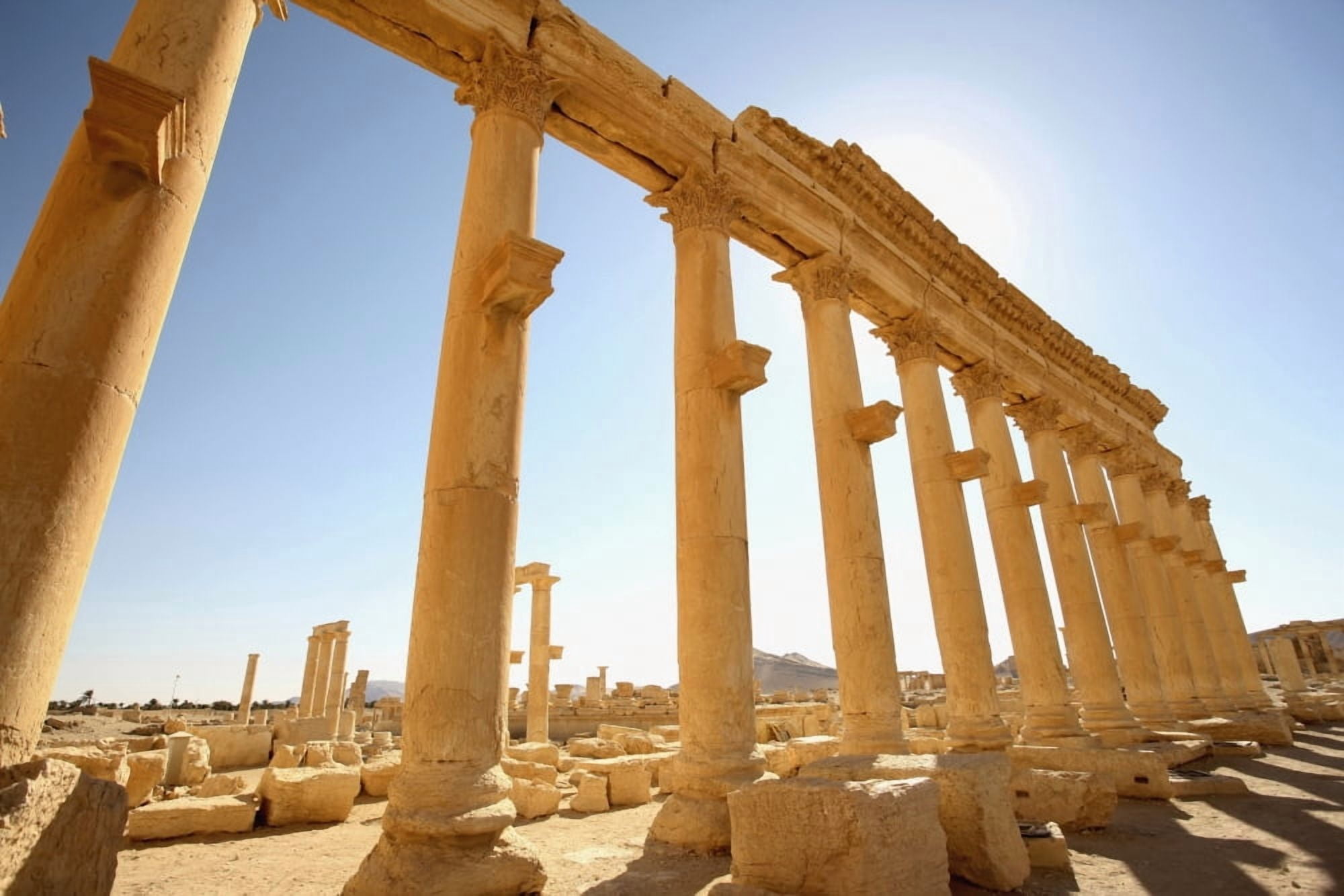 Ancient Ruins Of Palmyra Canvas Art - Chris Caldicott  Design Pics (38 x 24)