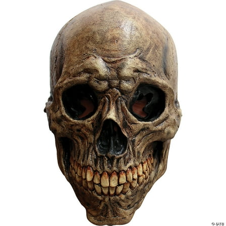 Ancient Skull Mask Adult Halloween Accessory