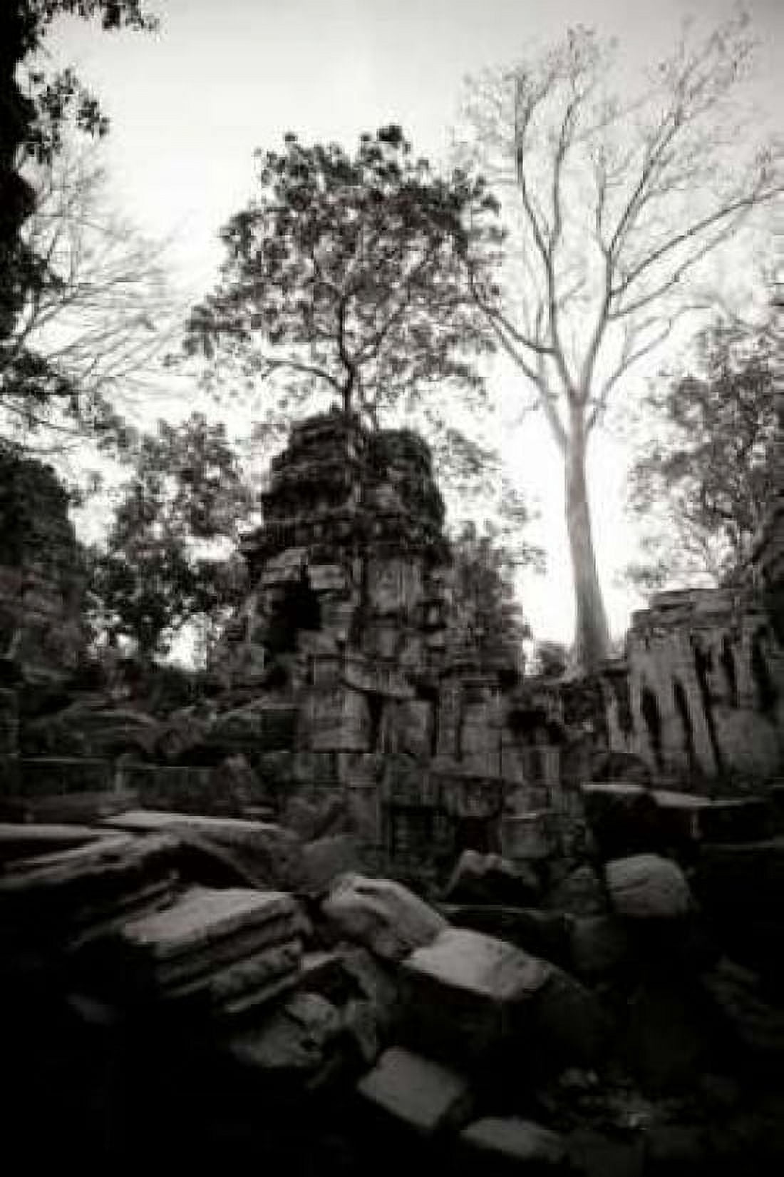 Ancient Ta Prohm I Canvas Art - Erin Berzel (12 x 18)