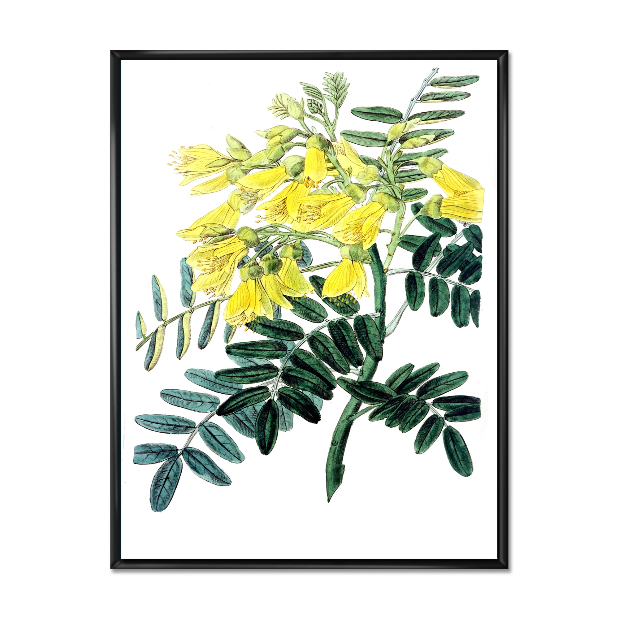 Ancient Yellow Flower II 16 in x 32 in Framed Painting Canvas Art Print, by Designart