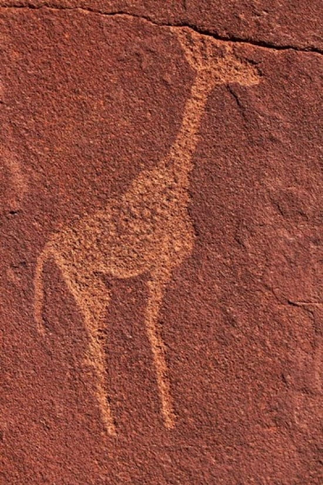 Ancient rock etchings Twyfelfontein Damaraland Namibia Canvas Art - David Wall  DanitaDelimont (12 x 17)