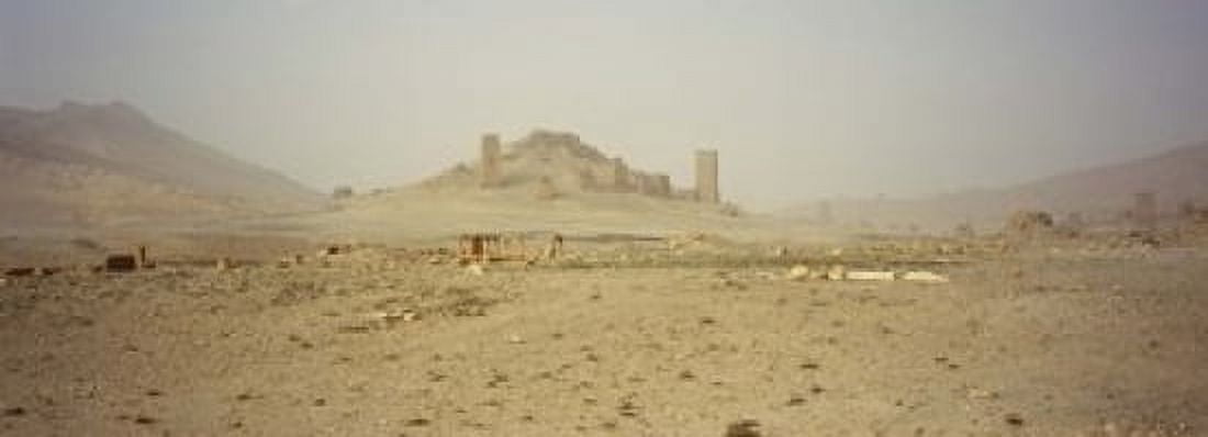 Ancient tombs on a landscape Palmyra Syria Canvas Art - Panoramic Images (18 x 7)