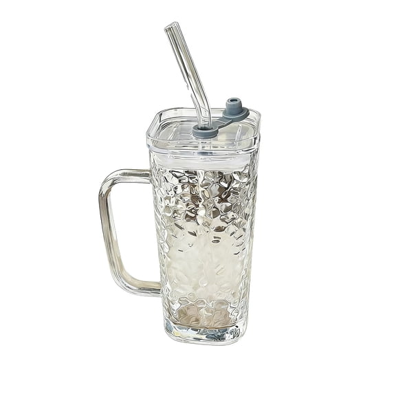 Anckoeil 8.5 fl oz Glass Water Cup with Handle, Lid & Glass Straw, for Home, Office & Daily Use