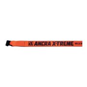 Ancra Winch Strap,30 ft x 4 In.,5400 lb. 43795-90-30-GRA