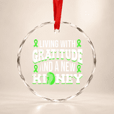 And A New Kidney Transplant Glass Ornament - Walmart.com
