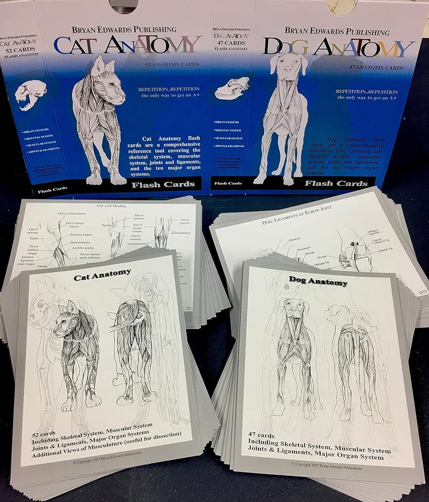 And Dog Anatomy Flashcards COMBODuopack OF TWO