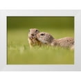 thumbnail image 1 of And Wei, Siyu 14x11 White Modern Wood Framed Museum Art Print Titled - Together, 1 of 4