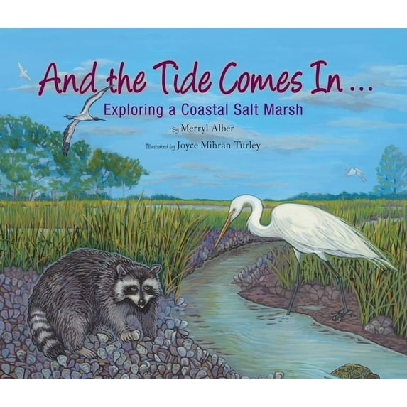 And the Tide Comes In...: Exploring a Coastal Salt Marsh, (Paperback)