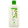 thumbnail image 1 of Andalou Naturals Silky Smooth Shampoo - Exotic Marula Oil - 11.5 Fl Oz, 1 of 3
