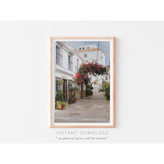 Andalusia Bougainvillea Spain Travel Decor Wall Art Unframed Paper Print