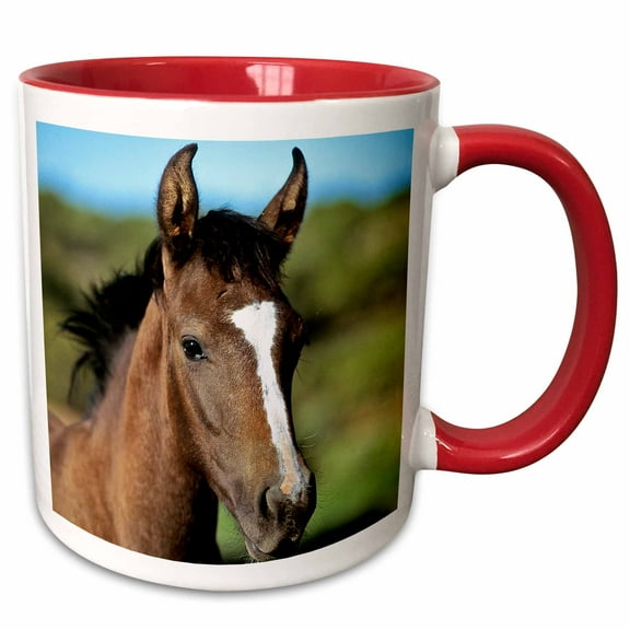 3drose, Andalusian Colt, Horse - Na02 Lkl0007 - Lee Klopfer, 11oz Two-tone Red Mug