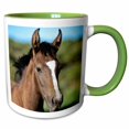 thumbnail image 1 of 3drose, Andalusian Colt, Horse - Na02 Lkl0007 - Lee Klopfer, 15oz Two-tone Green Mug, 1 of 6