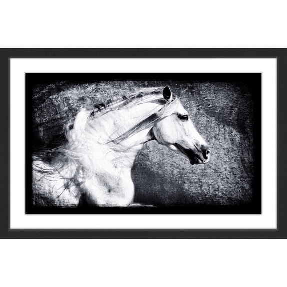 "Andalusian" Framed Painting Print