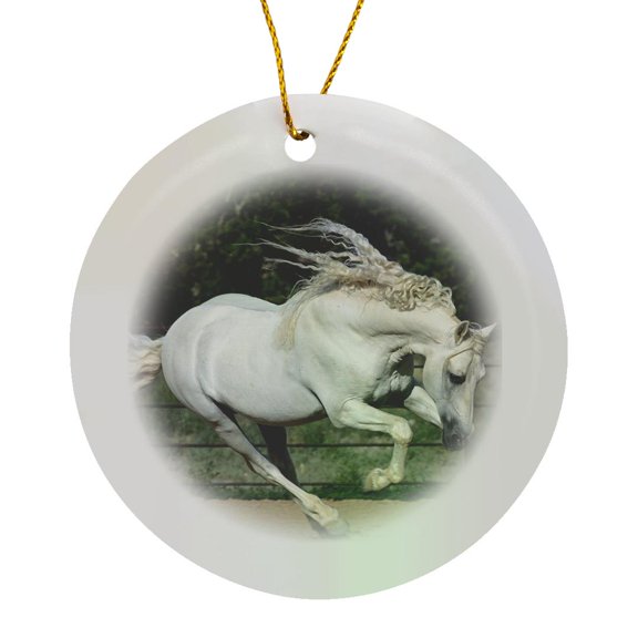 3drose, Andalusian Stallion Running, Horse - Na02 Lkl0006 - Lee Klopfer, Circle Porcelain Ornament