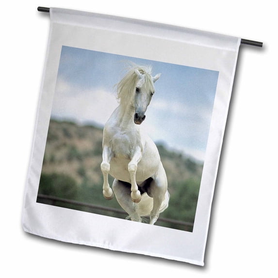 3dRose, Andalusian Stallion running, horse - NA02 LKL0000 - Lee Klopfer, 18 x 27 inch Garden Flag