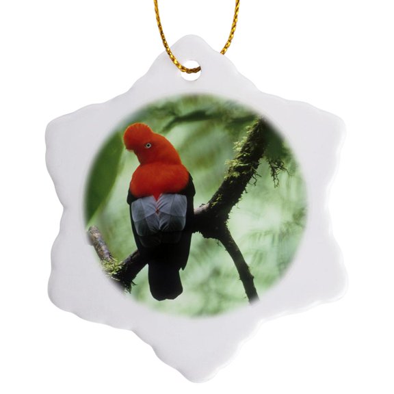 3drose, Andean Cock-of-the-rock Bird, Andes, Peru - Sa17 Ksc0057 - Kevin Schafer, 3 inch Snowflake Porcelain Ornament