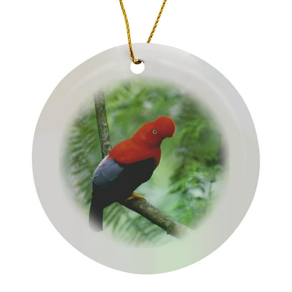 3drose, Andean Cock-of-the-rock Bird, Cosnipati Valley Peru - Sa17 Ksc0049 - Kevin Schafer, Circle Porcelain Ornament