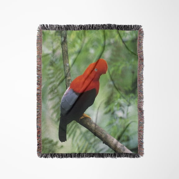 Andean Cock-Of-The-Rock Bird, Cosnipati Valley Peru - Sa17 Ksc0049 - Kevin Schafer, Woven Blanket