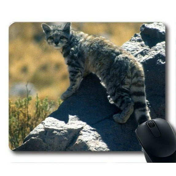 Andean Mountain Cat Mouse pads Gaming Mouse Pad 9.84x7.87 inches