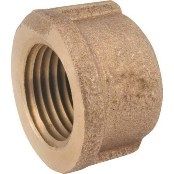 Anderson Metals 738108-20 Red Brass Pipe Cap 1-1/4"