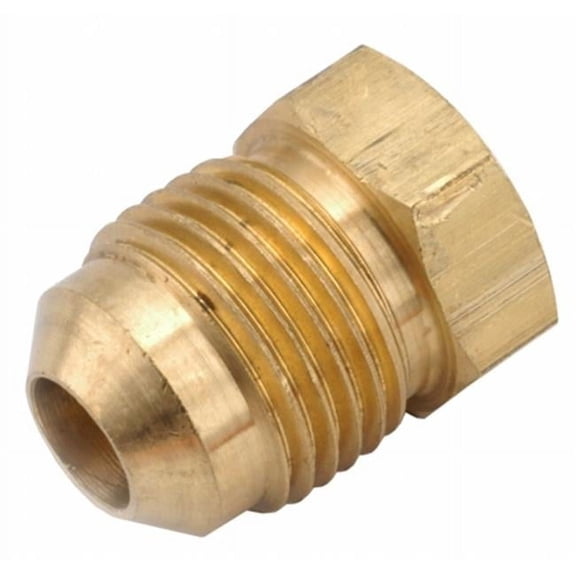 Anderson Metals Brass Low Lead Flare Plug - 1/2in.