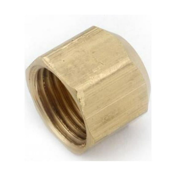 Anderson Metals Corp 04040-08 1/2 flare cap