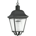 thumbnail image 1 of Andover Collection CFL One-Light Hanging Lantern, 1 of 2