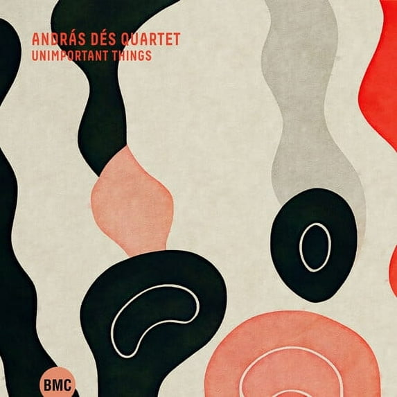 Andras Des - Unimportant Things - Music & Performance - CD