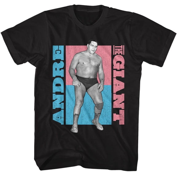 Andre The Giant Atg Color Blocks Black Adult T-Shirt M