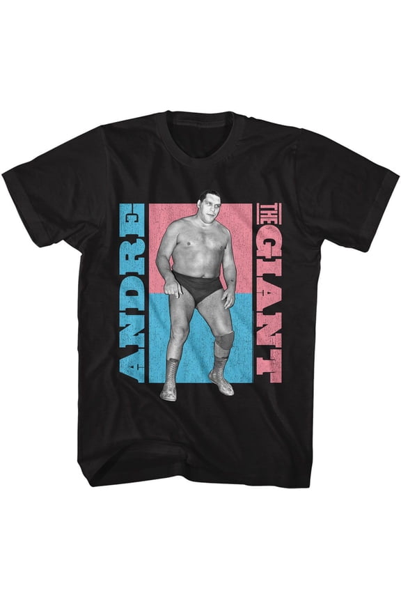 Andre The Giant Atg Color Blocks Black Adult T-Shirt S