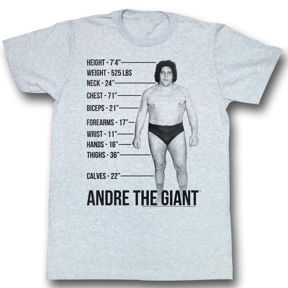 Andre The Giant Giant Specs Gray T-Shirt
