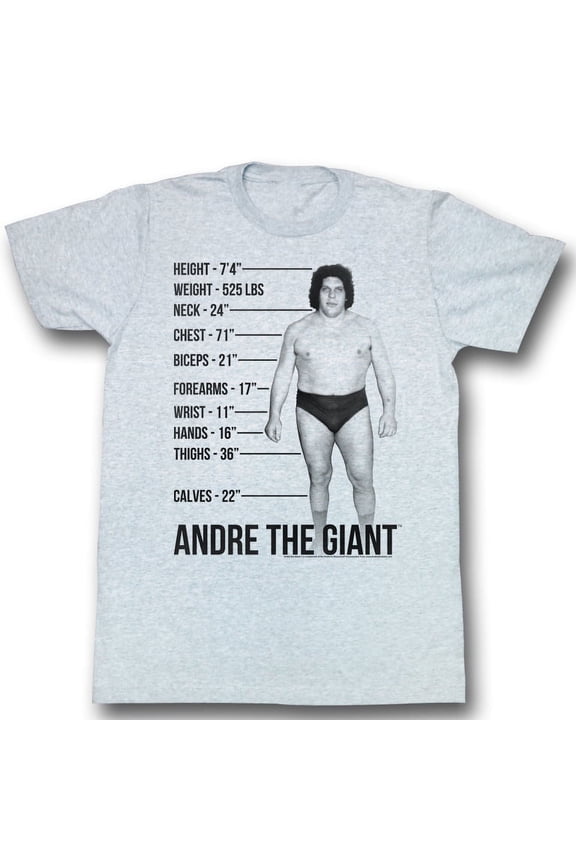 Andre The Giant Giant Specs Gray T-Shirt