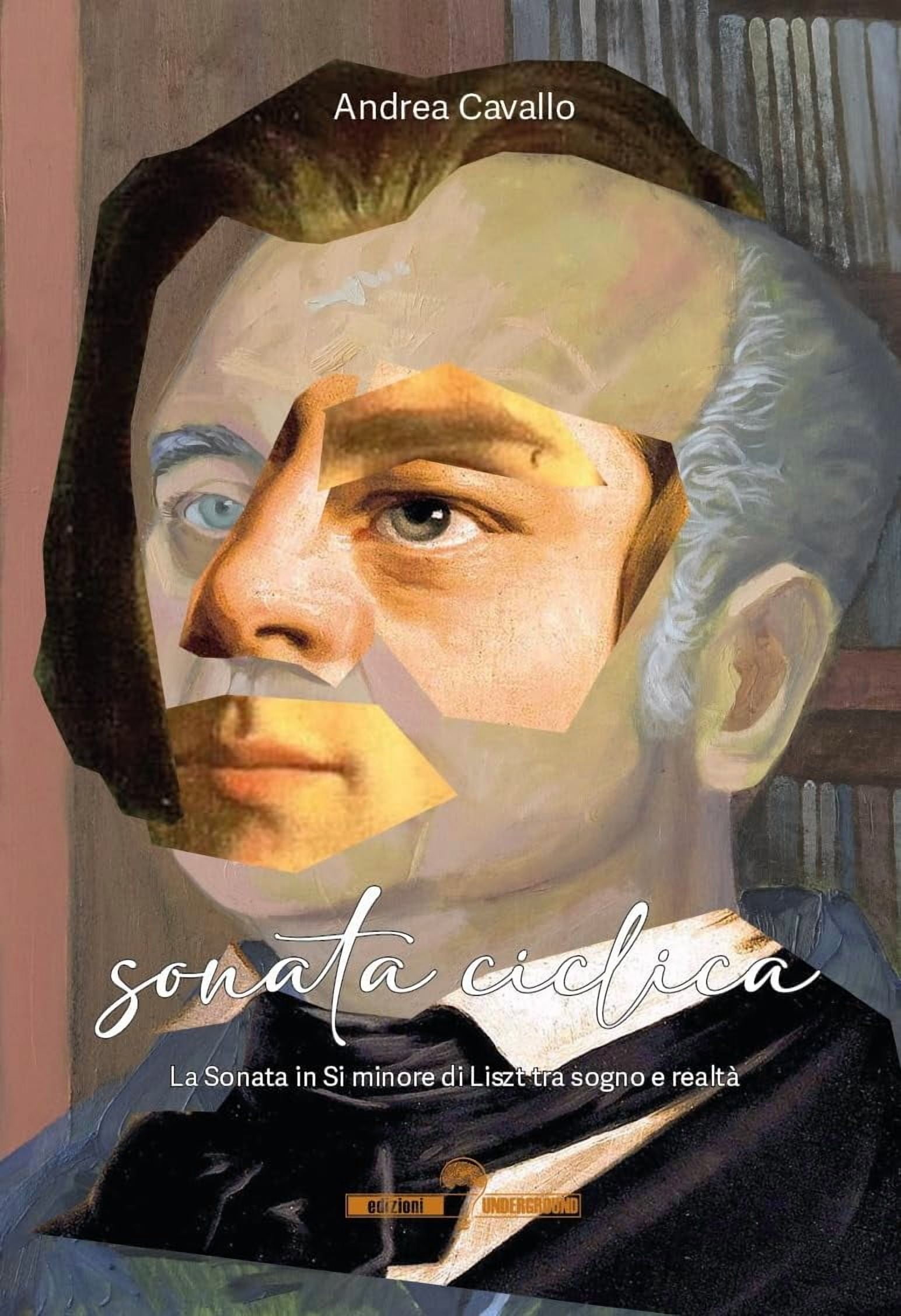 andrea-cavallo-libri-andrea-cavallo-sonata-ciclica-la-sonata-in-si