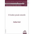 thumbnail image 1 of Andrea Conti Il giudice penale minorile (Paperback), 1 of 1